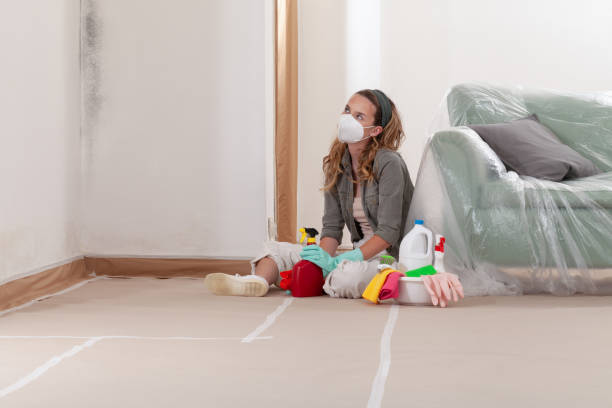 Reliable Mold Remediation contractor in Jenison, MI by WQB Mold Removal